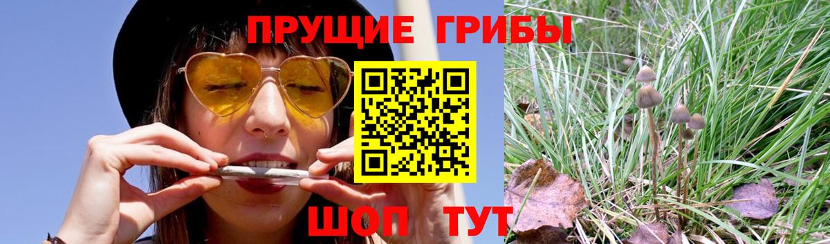 Галлюциногенные грибы Magic Shrooms Чусовой
