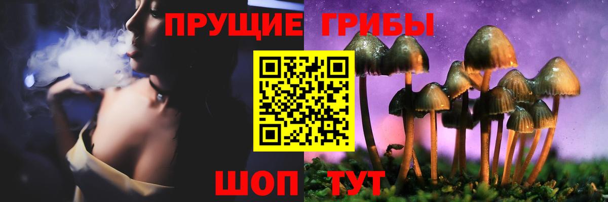 Чусовой  Галлюциногенные грибы Psilocybine cubensis  Вход с VPN 